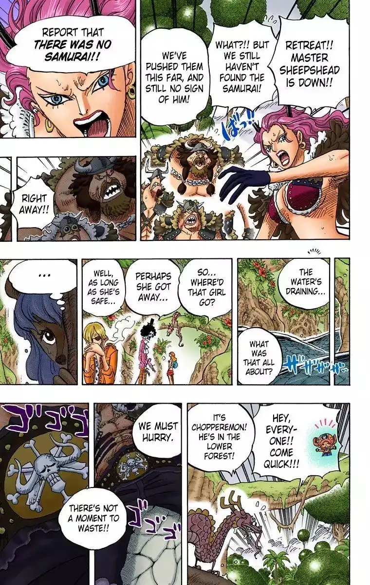 One Piece - Digital Colored Comics Chapter 795 9